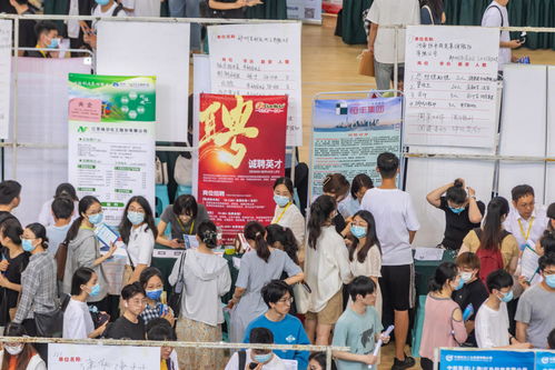 畢業生就業壓力加劇 河南啟動長期未就業群體動態清零計劃